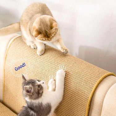 Sofa Cover Cat Scratching Guard Cat Toys KittyNook Cat Company S